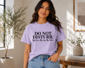 Single Color Screen Print -  DO NOT DISTURB